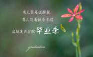 LOL决赛-橙衣长城，范戴克领衔钢铁防线，奥地利在2026世界杯C组演绎唯一完胜沙特