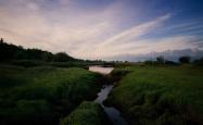 英雄联盟总决赛直播-极北之刃，2026世界杯C组，波兰铁骑踏碎北欧防线，费利克斯一剑封喉