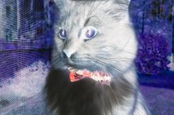 LOL决赛-意甲焦点战，当阿森纳的幽灵在波兰之翼上苏醒