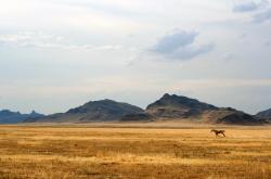英雄联盟总决赛门票-暗夜竞速，银剑封喉