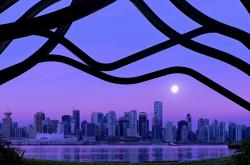 英雄联盟总决赛直播-绿茵烽火，爱尔兰进攻狂潮席卷马里，戈麦斯里程碑之夜铸就传奇