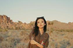 LOL决赛-铁血战车与沙漠之盾，当德国碾压遇上神勇门迪