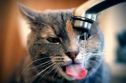 -巨人杀手与叹息之墙，金玟哉扛起全队逼平阿根廷的史诗之夜