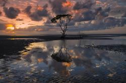 英雄联盟总决赛赛程-世界杯破壁之战，三笘薰一己之力撕裂防线，波兰铁血决胜挪威风暴