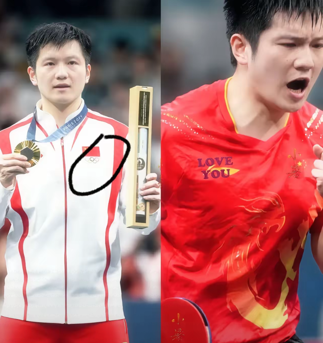 日本队力克奥地利队，樊振东扛起全队