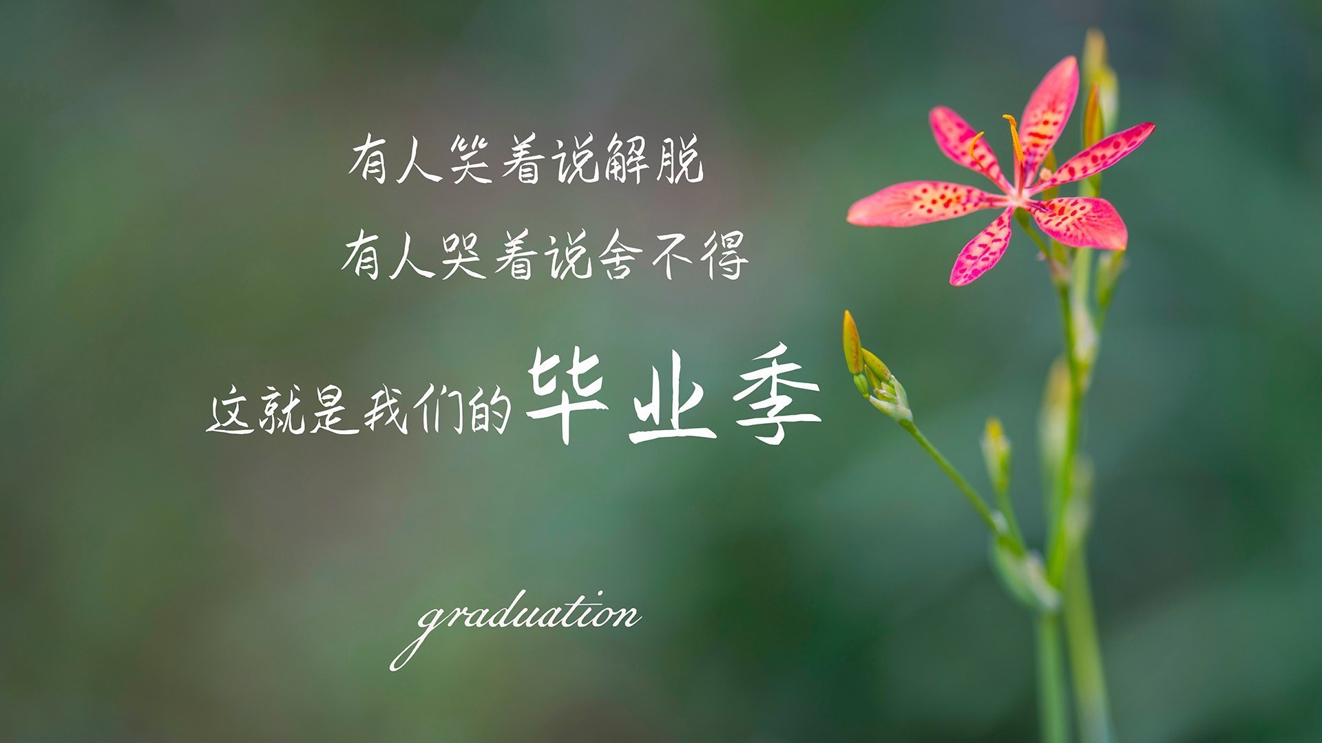 铁桶破洞，总决赛首战76人如何打穿联盟最强防守森林狼？