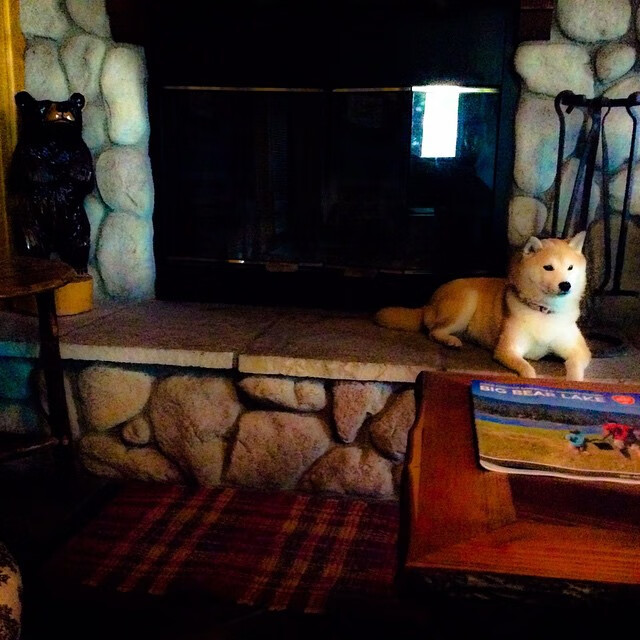 太阳三巨吞蜂,布伦森攻防一体统治全场