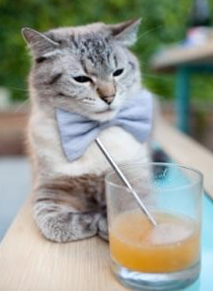 冰封之矛对决沙漠之舞，挪威战术封锁如何塑造年度足球焦点战