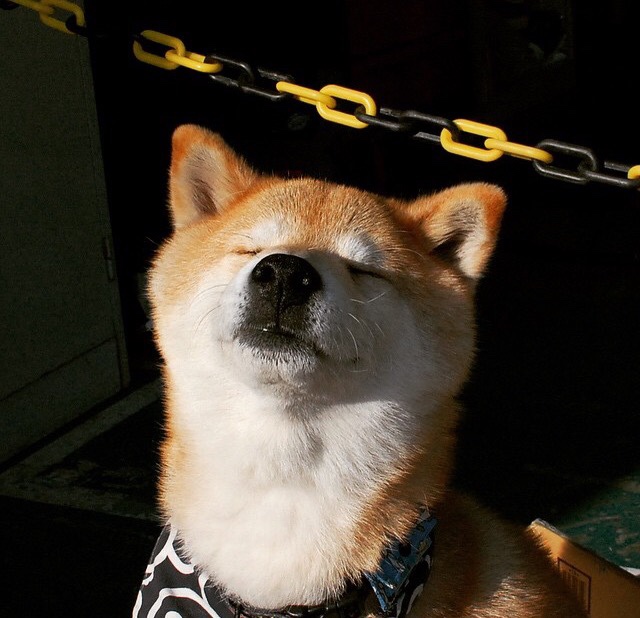 篮球与足球的跨界风暴，洪都拉斯球迷如何用压制战术搅动阿森纳的NBA总决赛之夜