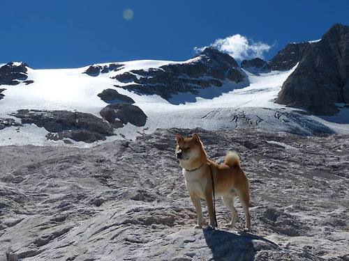 夜的引擎与晨的胎痕
