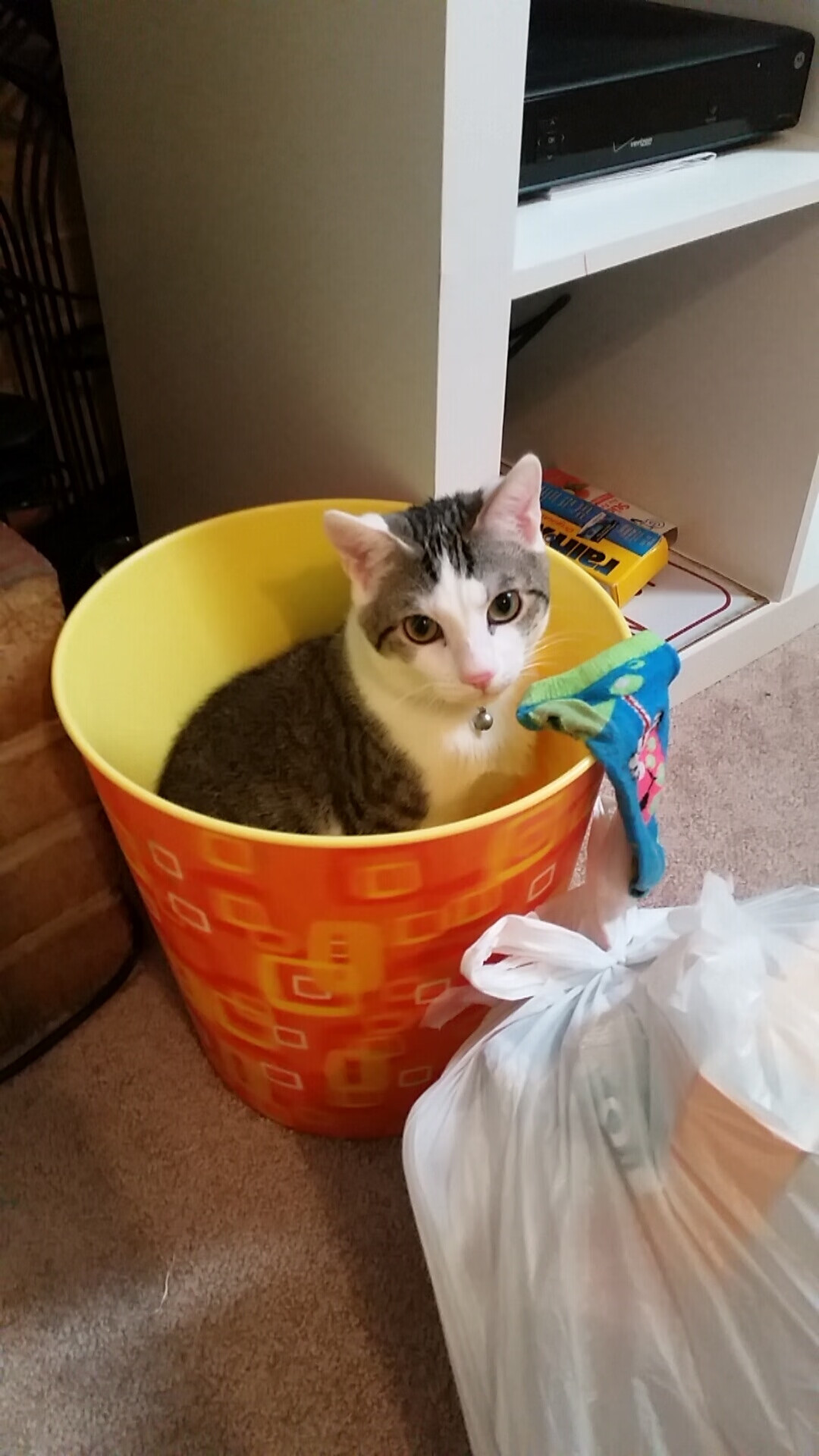 维度跳跃者,当深圳踏碎奥兰多之夜,爱德华兹撕开欧冠时空