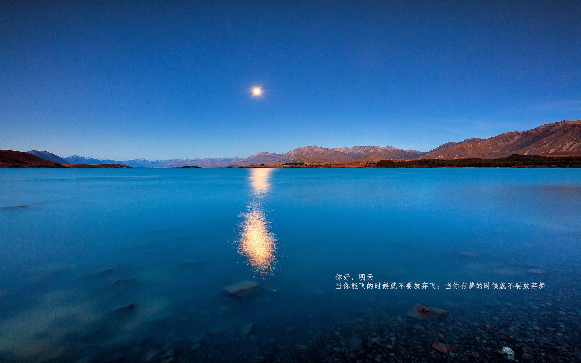 铜墙与硬骨,当文班亚马筑起禁飞区,开拓者啃下最坚韧一胜