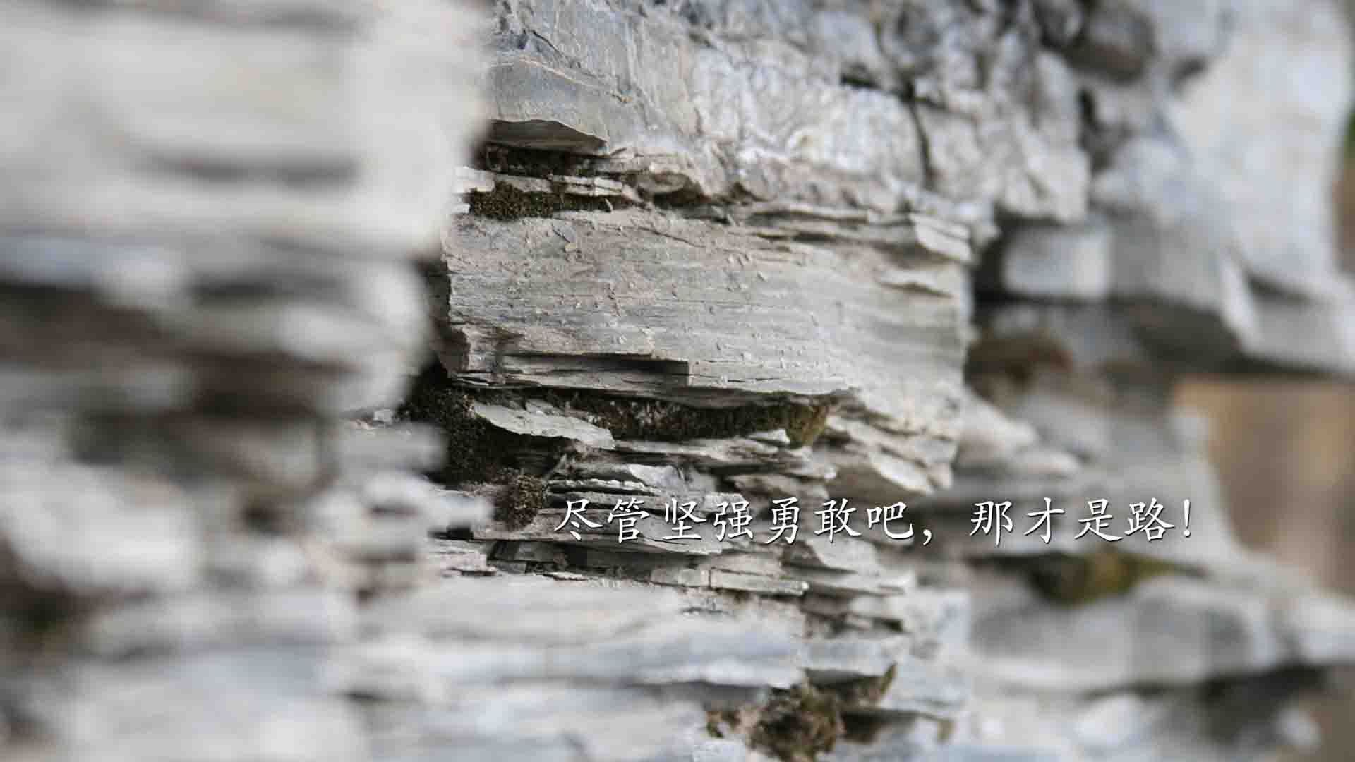 班凯罗末节风暴主宰关键节点，雄鹿生死战险胜广厦队