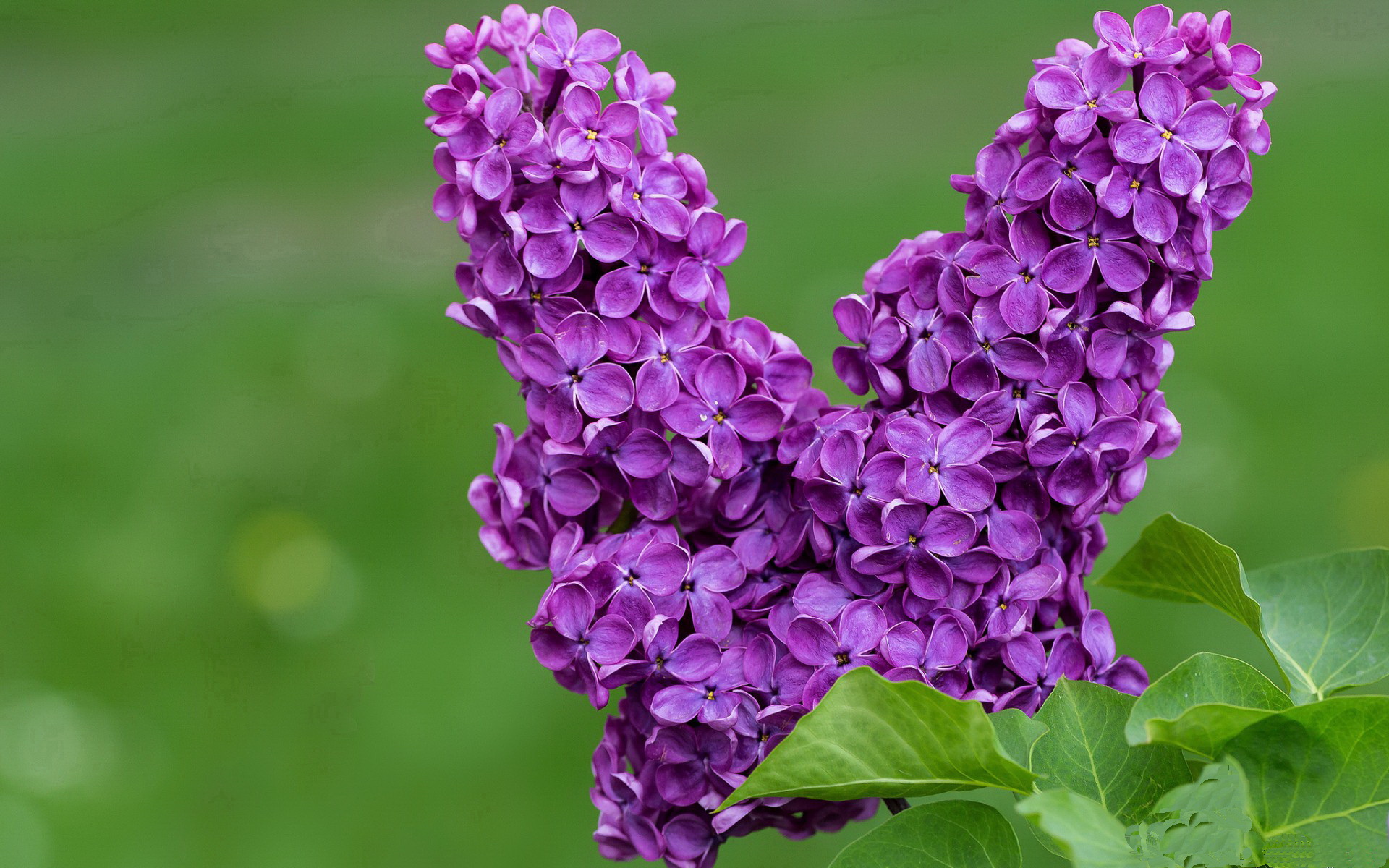 青春碾过传奇，姆巴佩的封神之夜与南美足球的黄昏