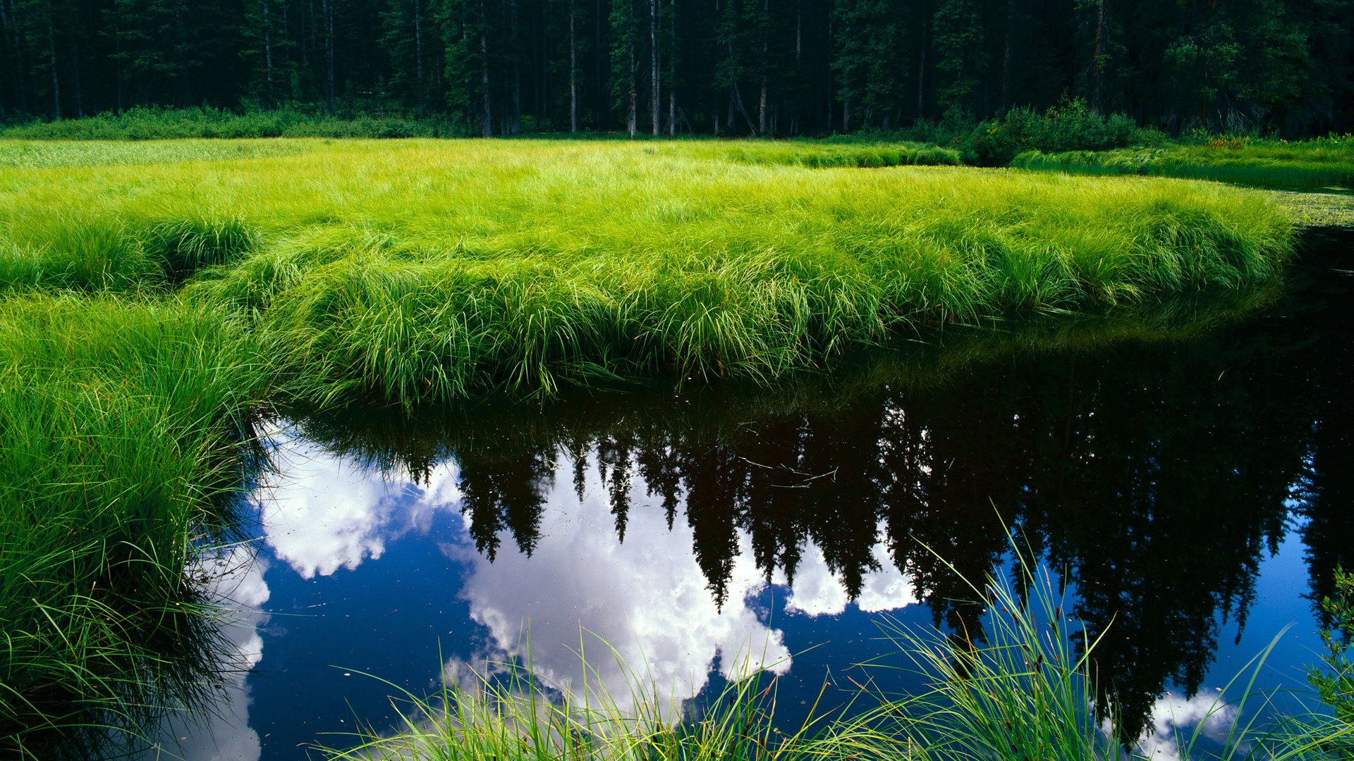 跨越重洋的篮球对话，76人完胜新疆队，恩比德成为关键先生