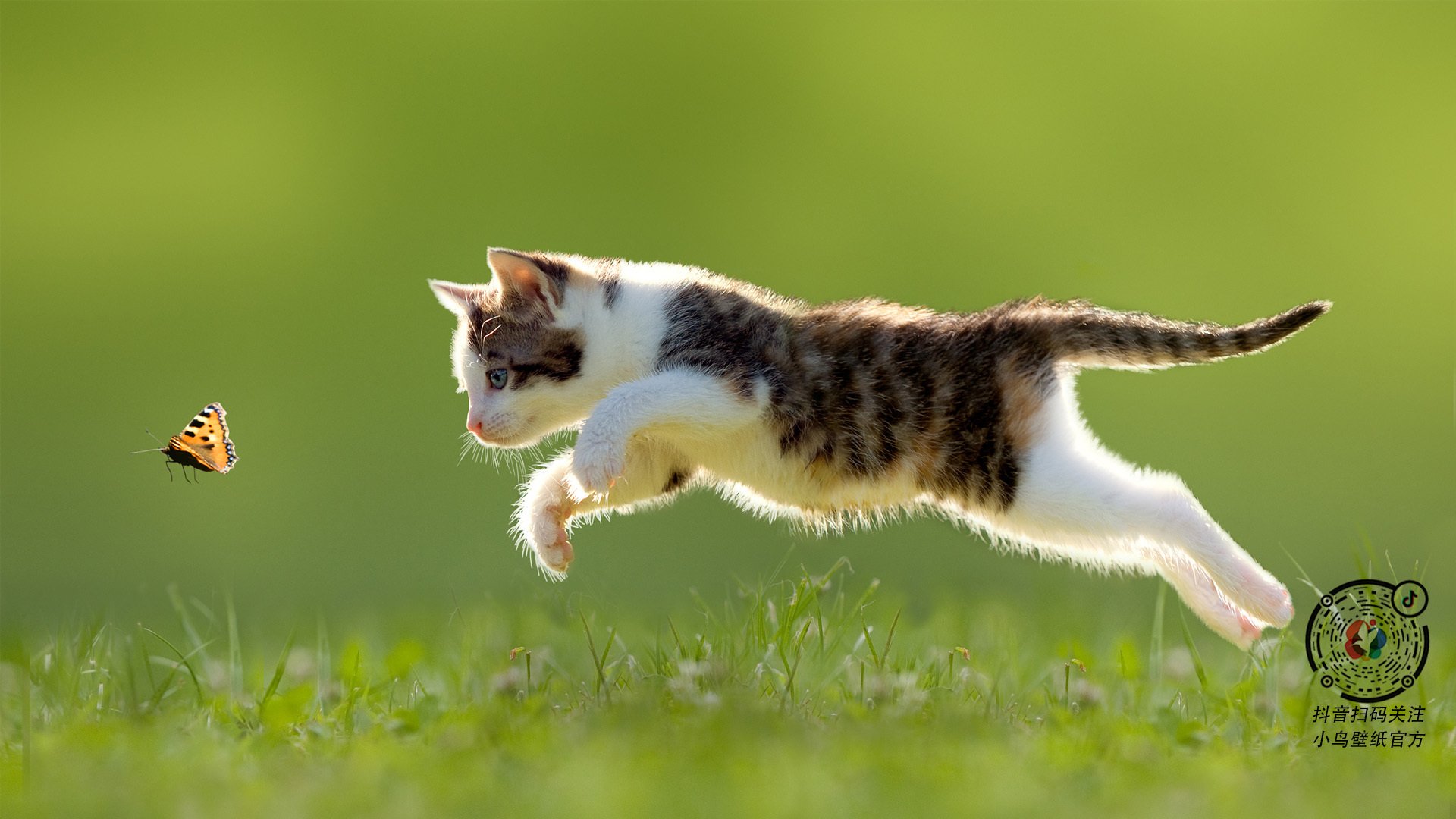 致命三分+完美指挥官！霍勒迪魔法时刻助魔术速胜爵士