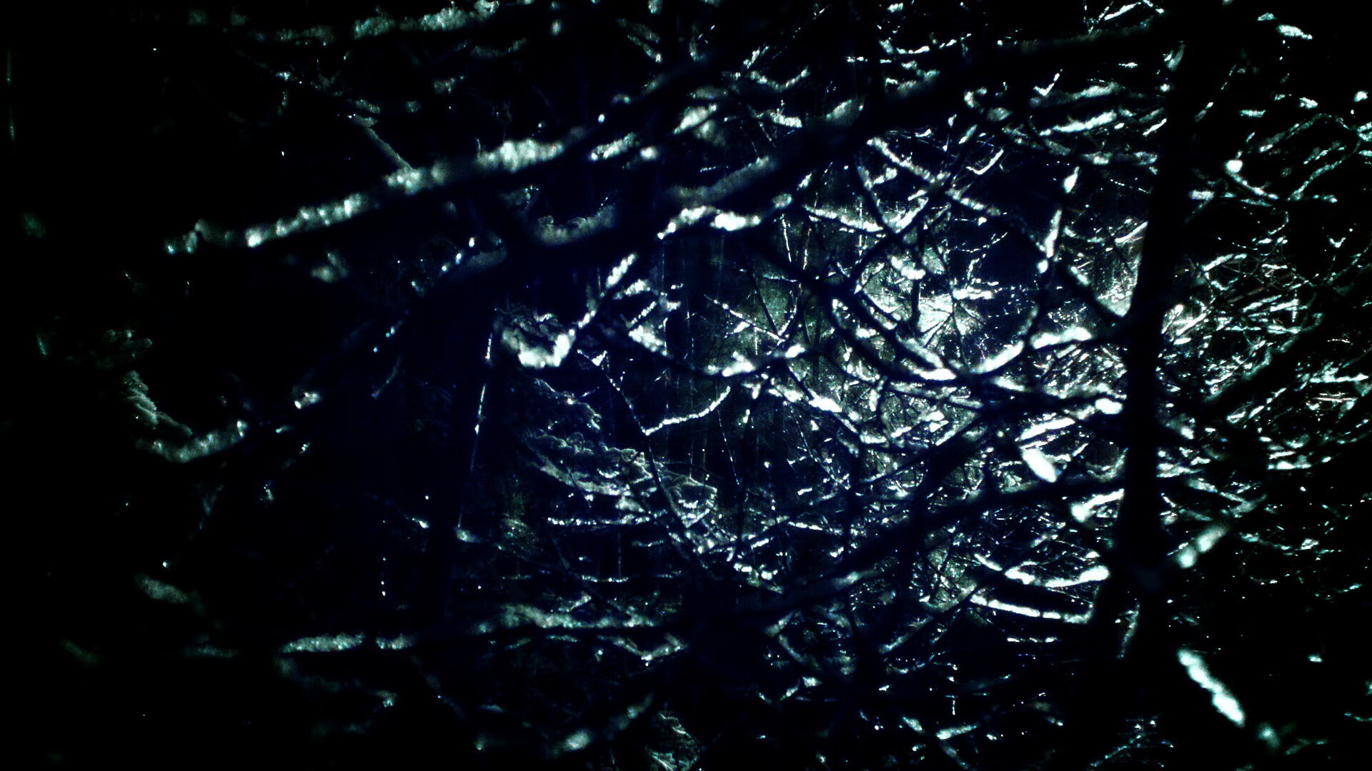 太阳对阵山西队，利拉德冠军之心照亮赛场