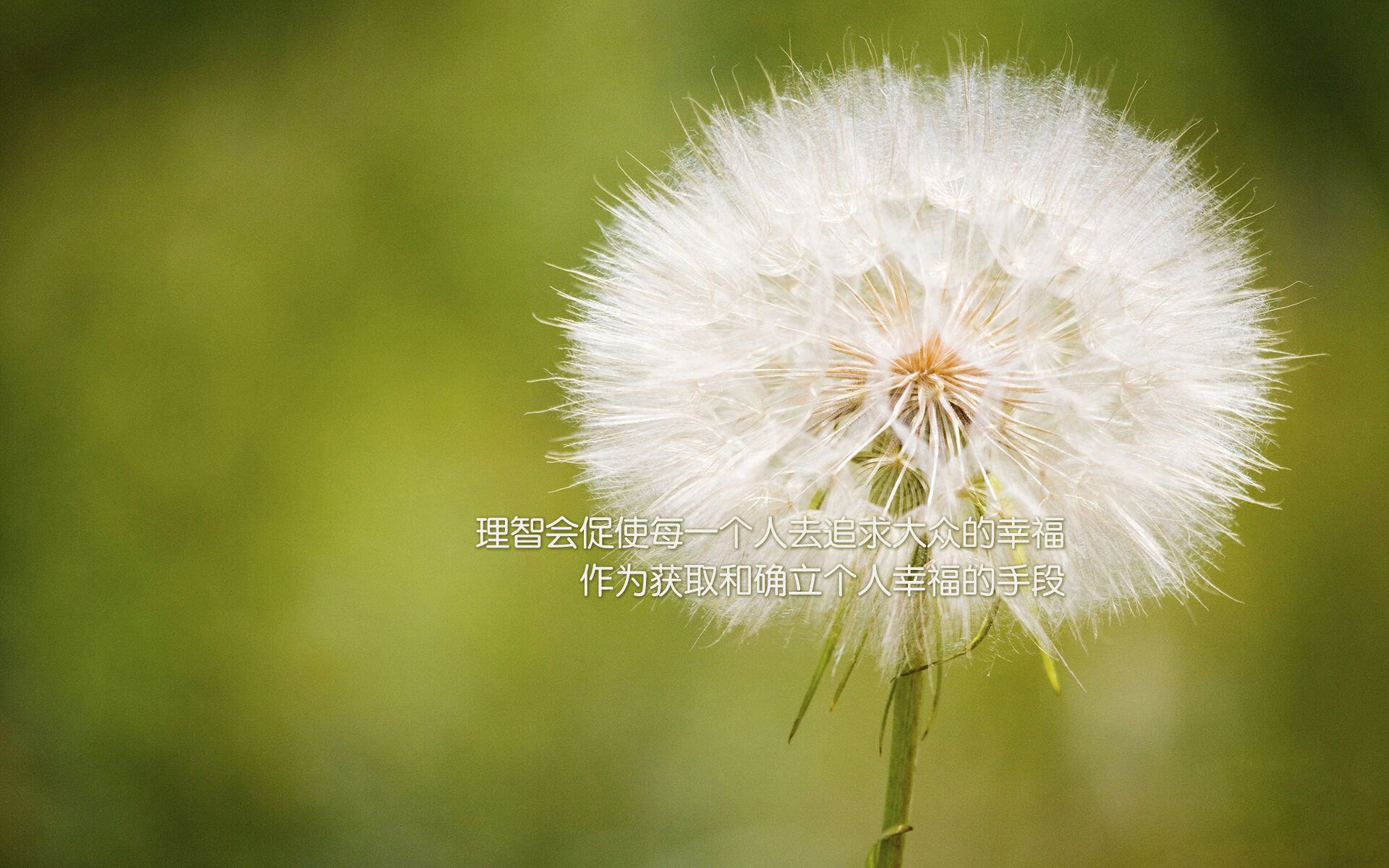 蓝焰焚冰,2026世界杯豪门对决,比利时绝杀挪威,维尼修斯一剑封喉定乾坤