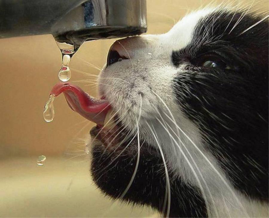 当探戈遇上金猴,2026世界杯A组,阿根廷的优雅压制与福登一个人的风暴