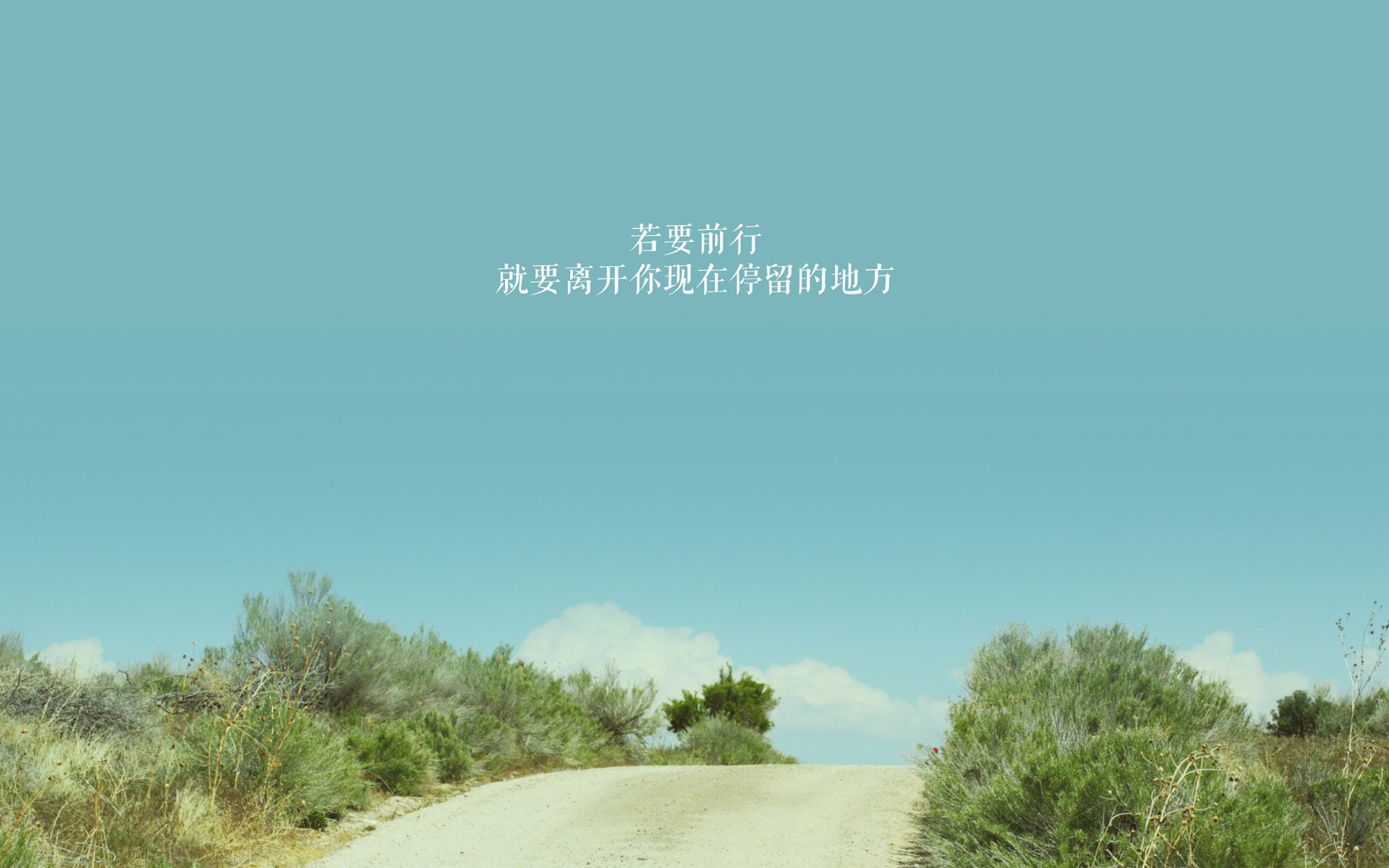 沙漠绿洲与东欧铁骑的博弈,阿方索·戴维斯如何用速度定义2026世界杯A组生死战