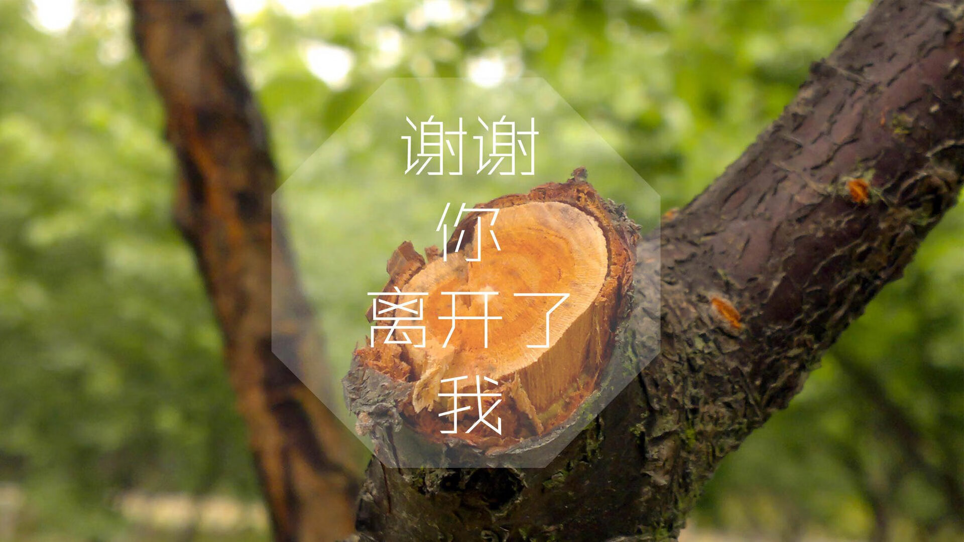 宿命对决的另一种注解,格列兹曼的指挥棒下,葡萄牙如何用一场完胜定义H组唯一剧本