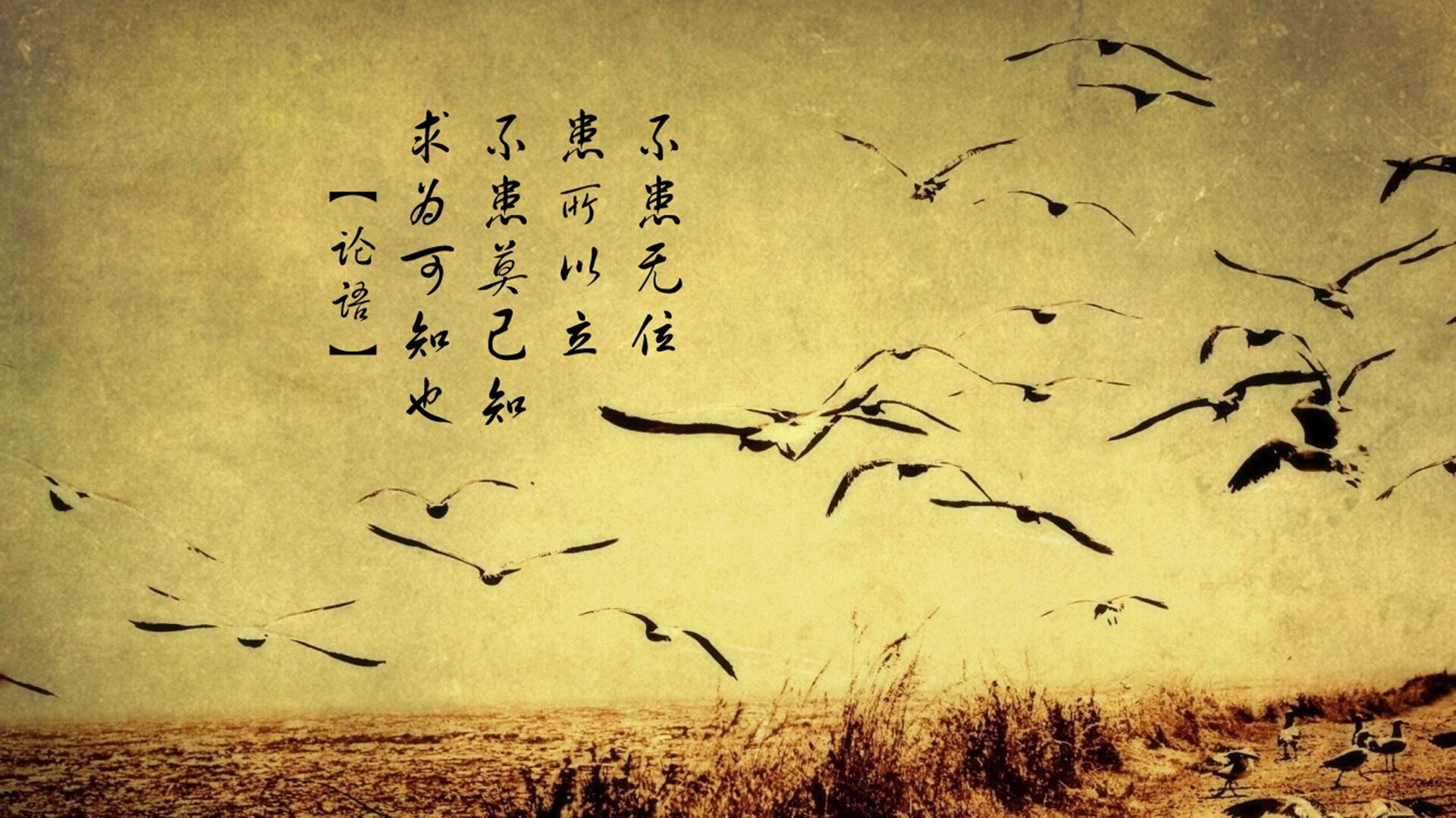 哥本哈根的黄昏,当费利克斯撕碎高卢雄鸡的黄昏梦