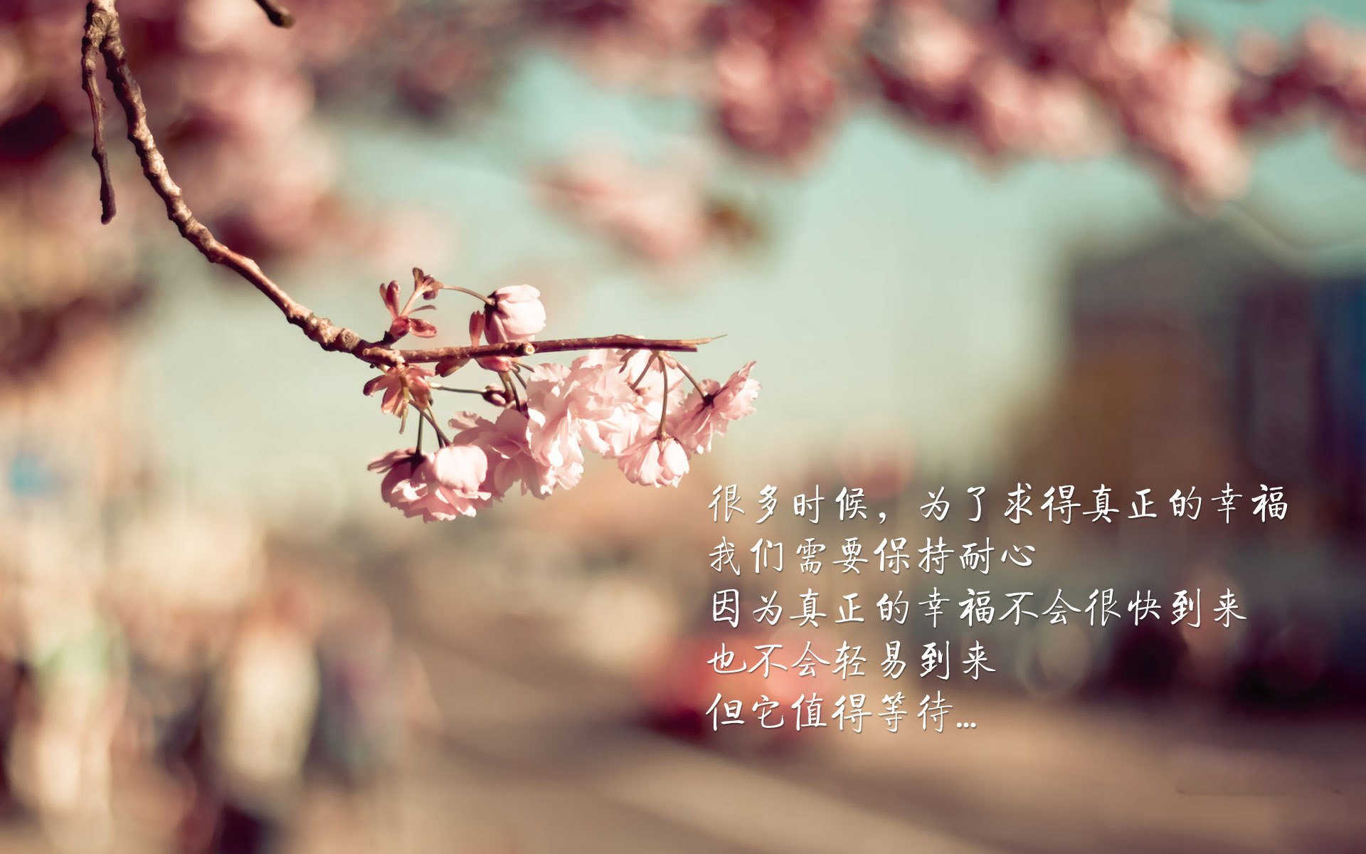 以柔克刚，当维尼修斯的左脚，刺穿波斯铁骑的钢铁防线—2026世界杯B组伊朗vs泰国战术启示录